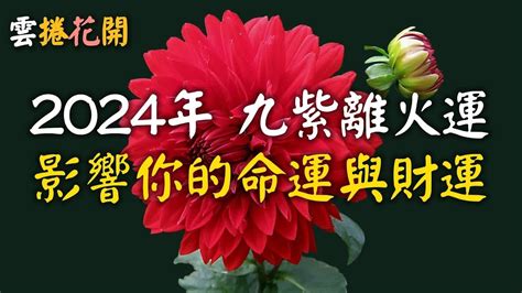 離火年|2024「九紫離火運」重置地球磁場！命理師：「4產業。